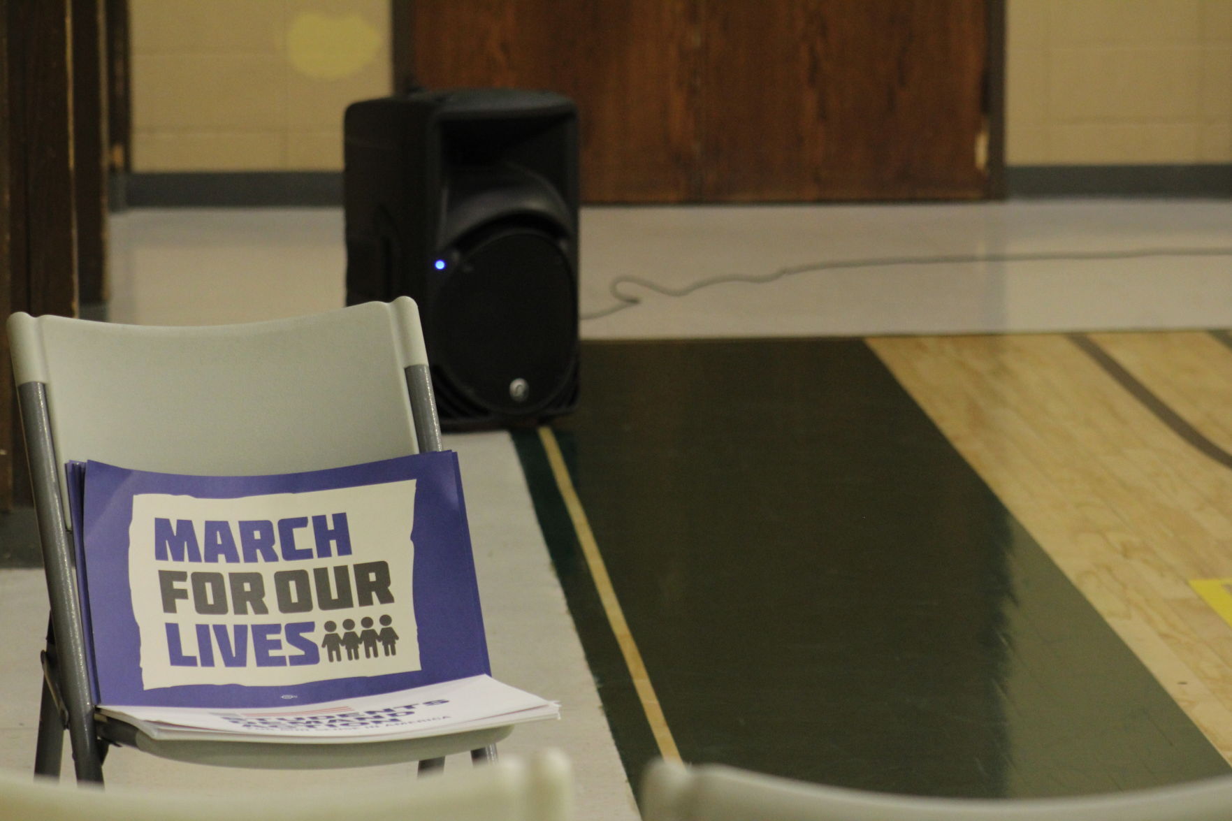 March for our Lives, March 25